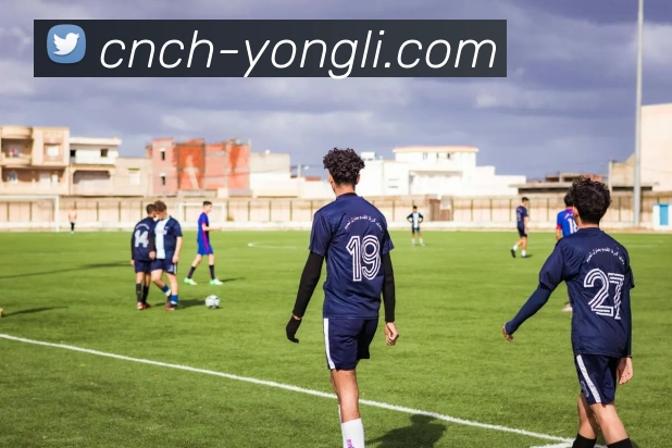 永利皇宫官网APP 封面图