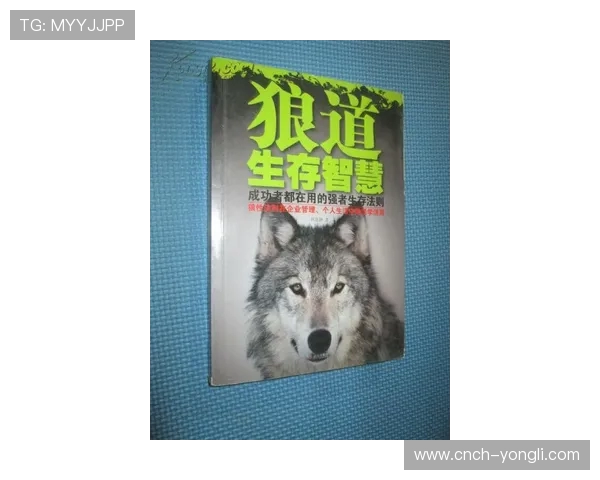 《苏丹游戏狼王的踪迹揭示的策略与生存智慧》